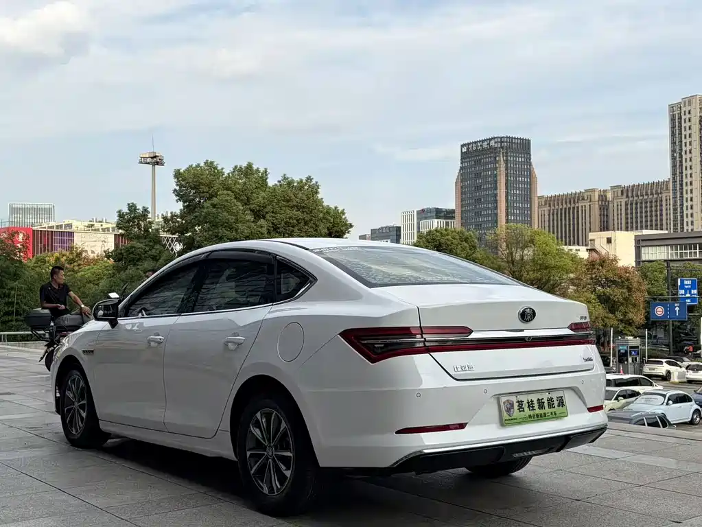 BYD Qin Pro NEV — фото 6