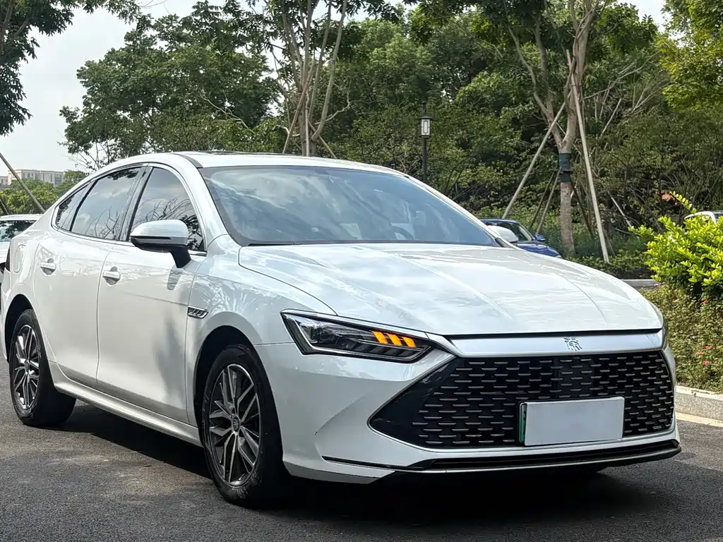 BYD Qin PLUS — фото 3