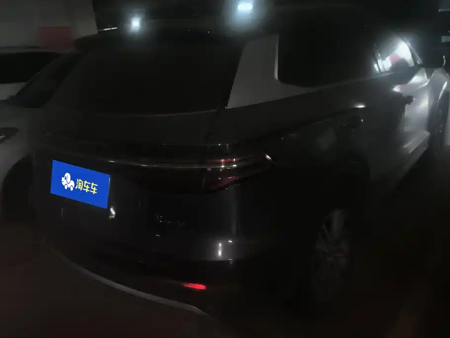 BYD Pro — фото 3
