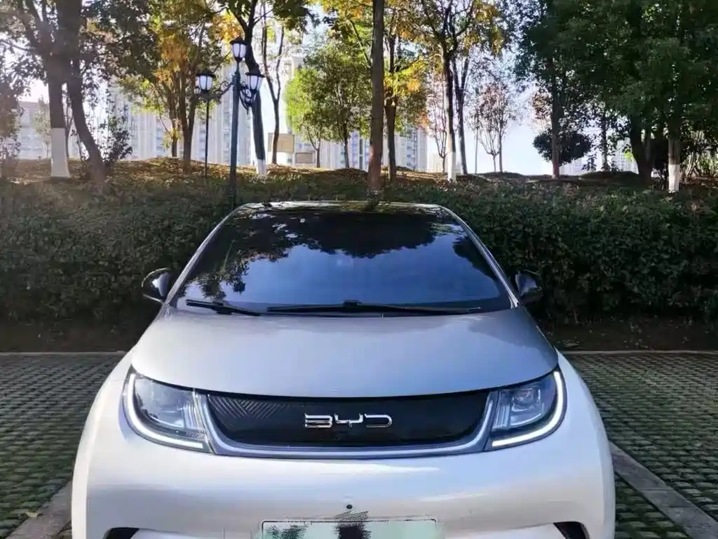 BYD Dolphin