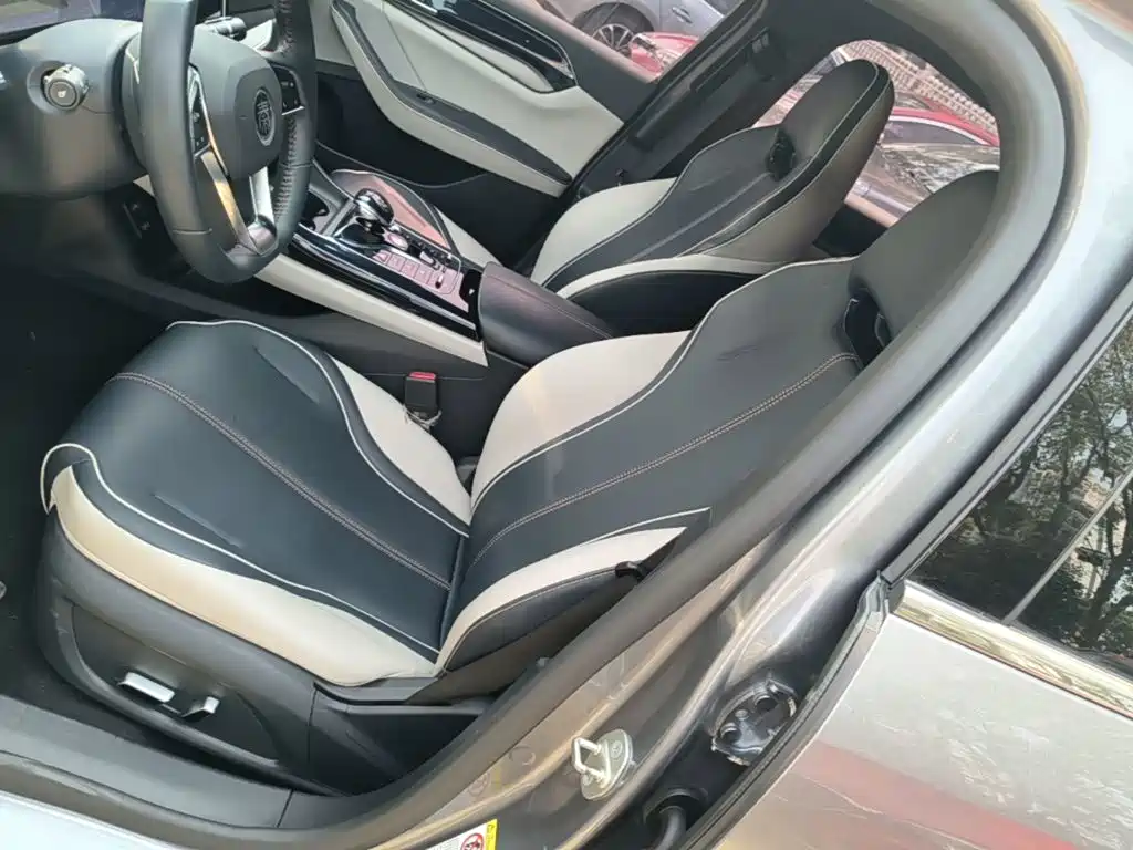 BYD Qin PLUS — фото 15