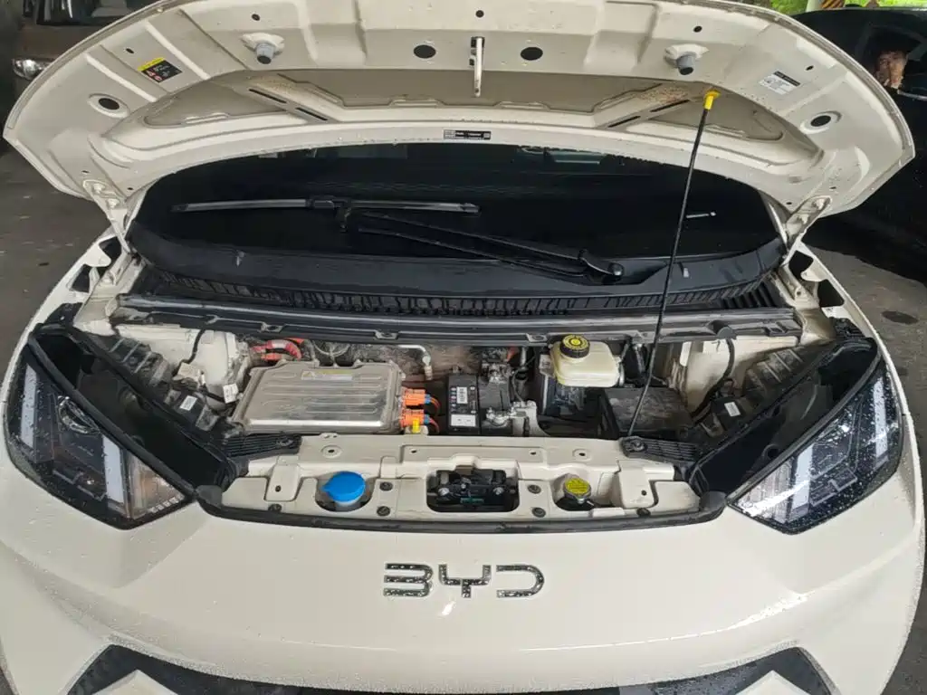 BYD Seagull — фото 20