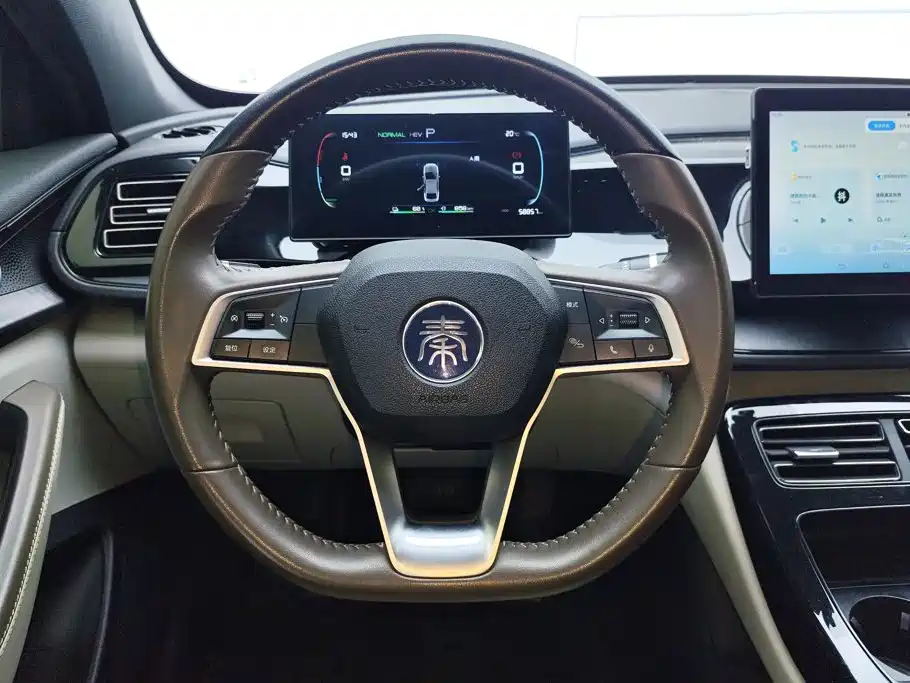 BYD Qin PLUS — фото 15