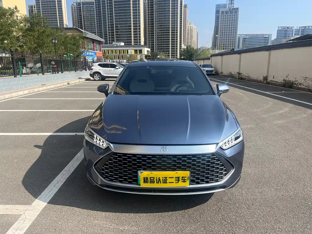 BYD Qin PLUS — фото 2