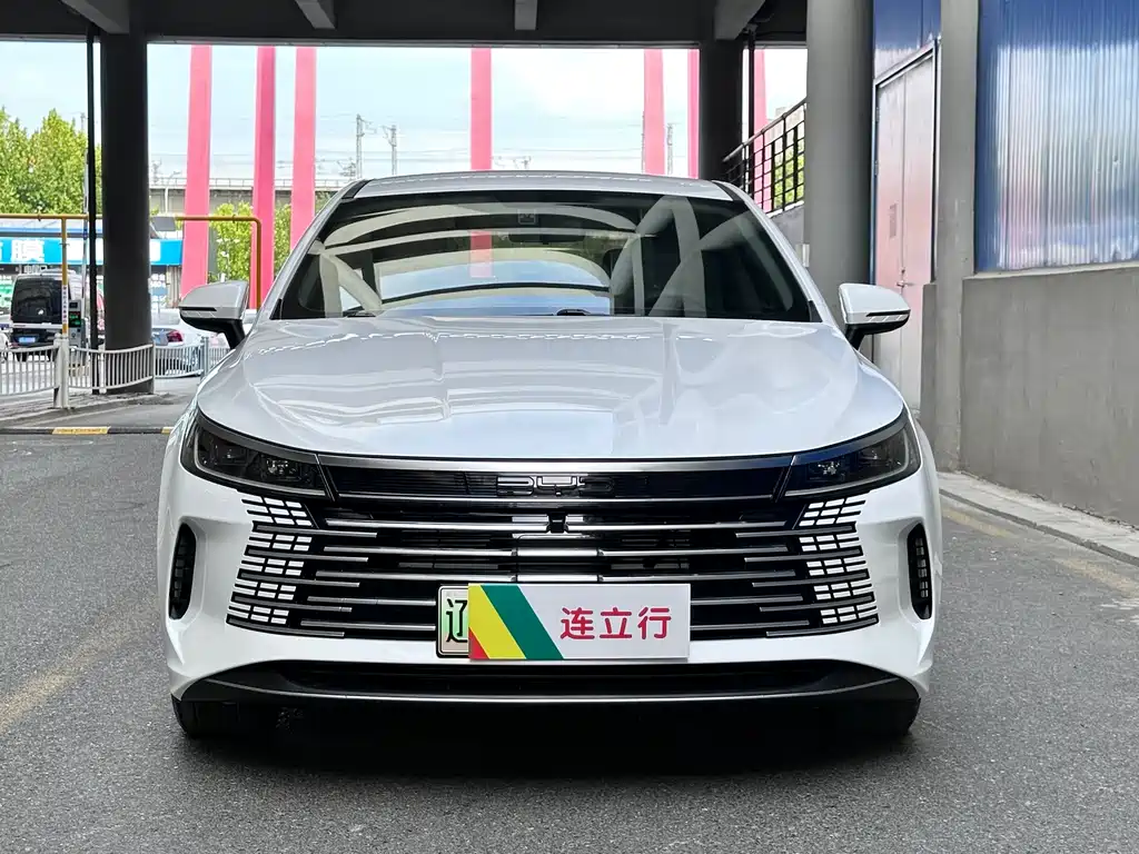 BYD Destroyer 05 — фото 2