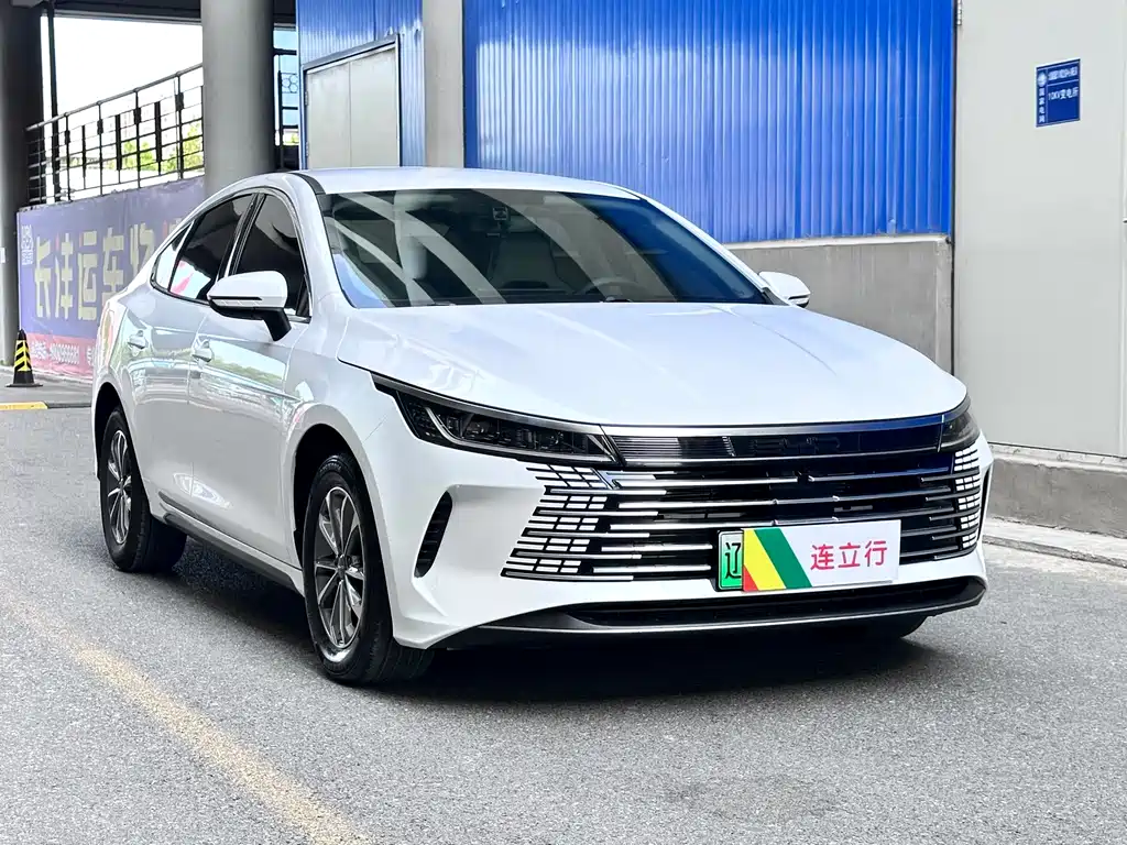 BYD Destroyer 05 — фото 3
