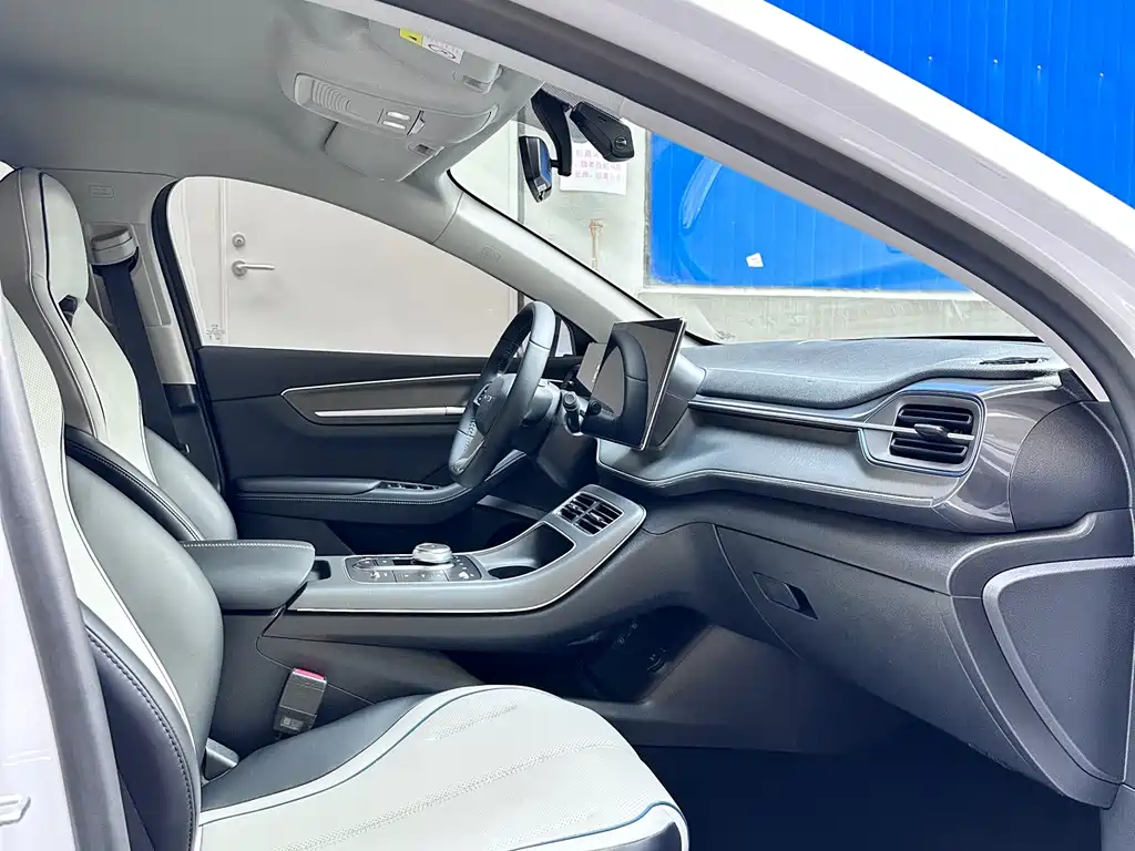 BYD Destroyer 05 — фото 10