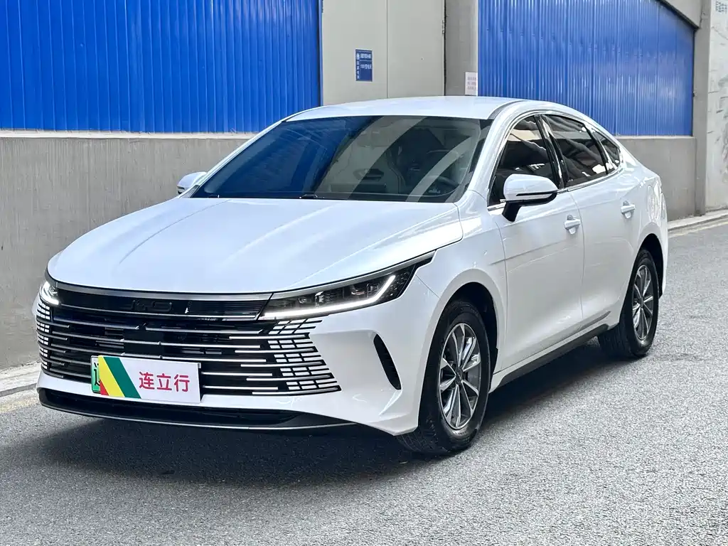 BYD Destroyer 05