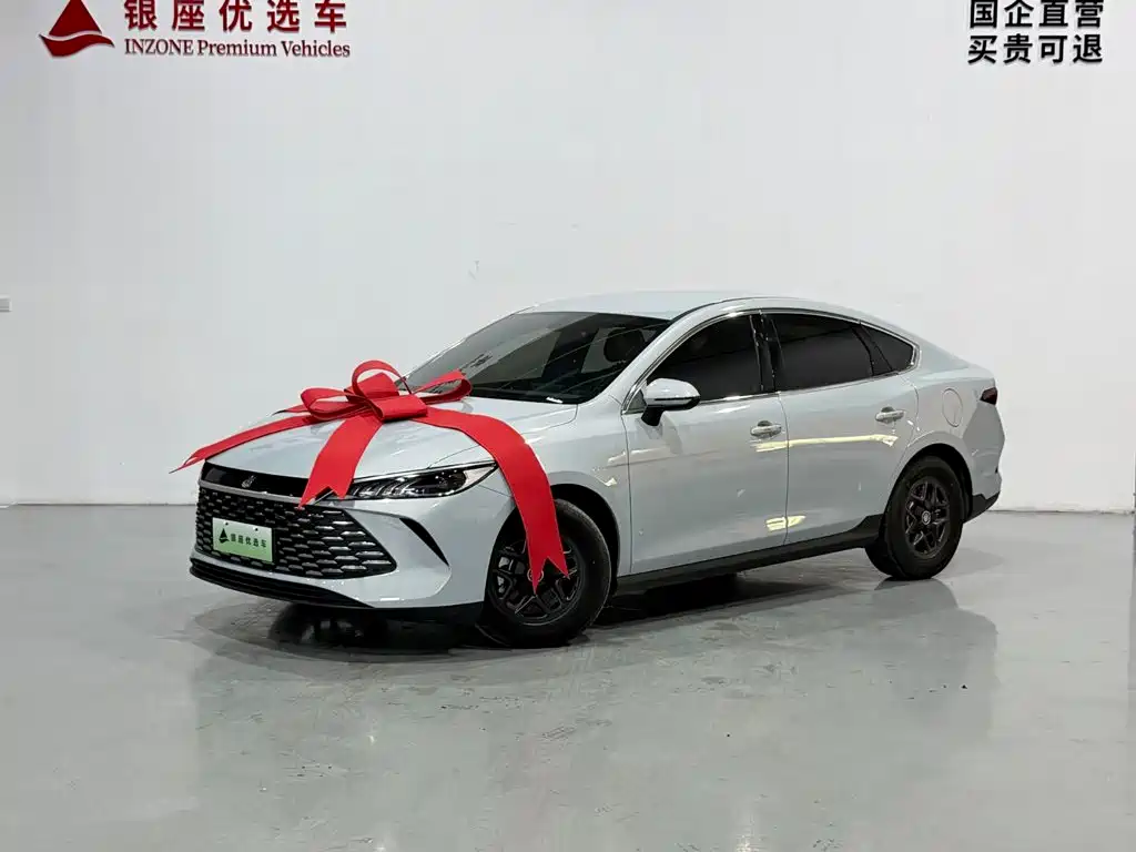 BYD Qin PLUS — фото 3