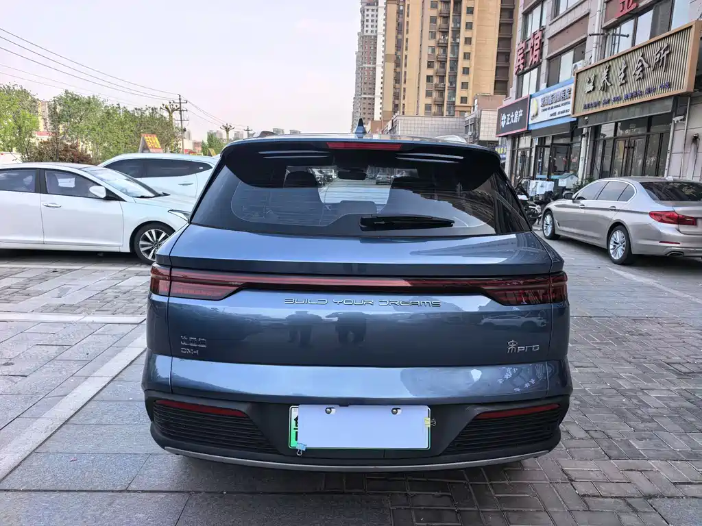 BYD Pro New Energy — фото 8