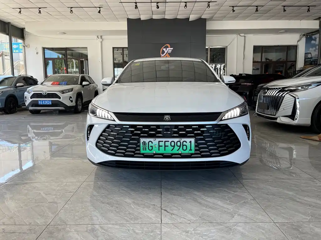 BYD Qin PLUS — фото 2