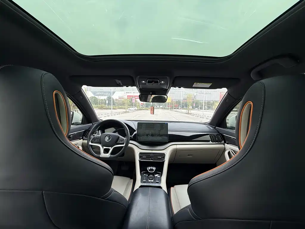 BYD PLUS New Energy — фото 8