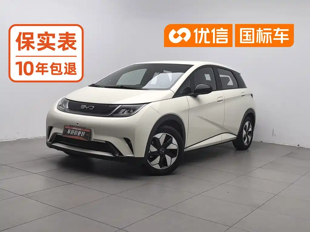 BYD Dolphin