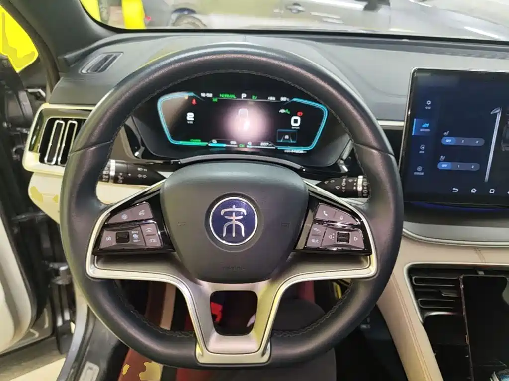 BYD PLUS New Energy — фото 11