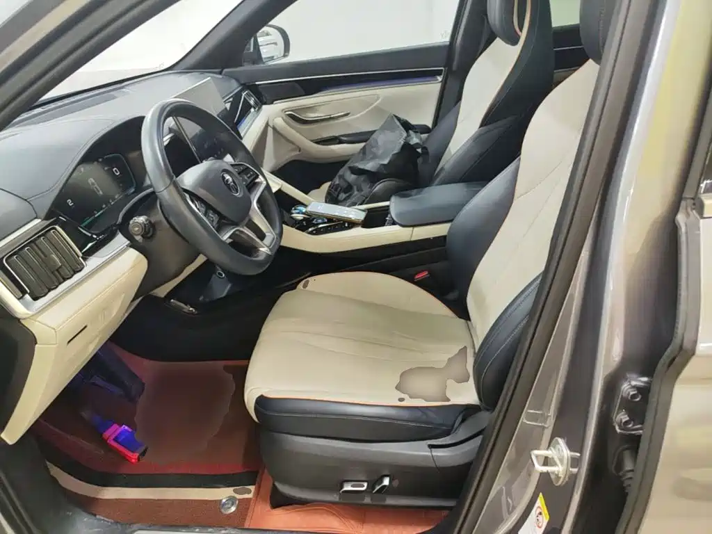 BYD PLUS New Energy — фото 15
