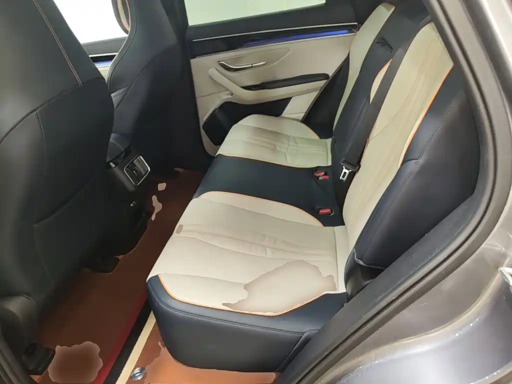 BYD PLUS New Energy — фото 17