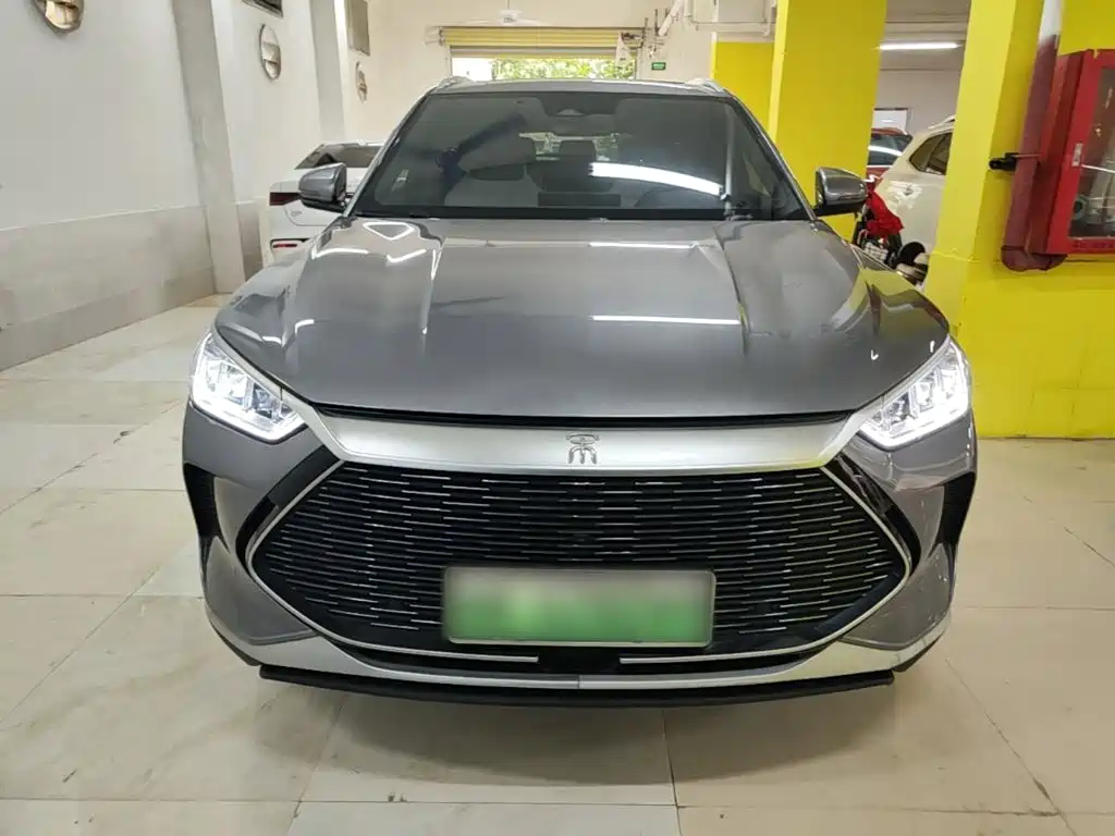 BYD PLUS New Energy — фото 3