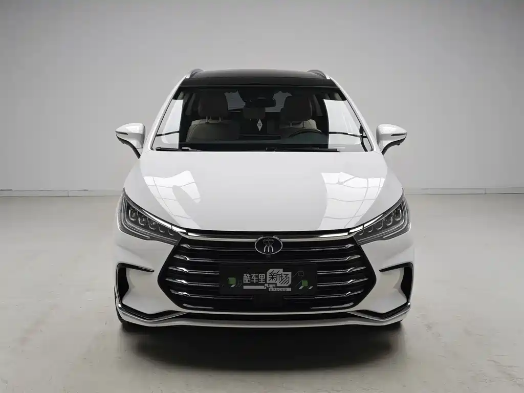 BYD MAX New Energy — фото 2