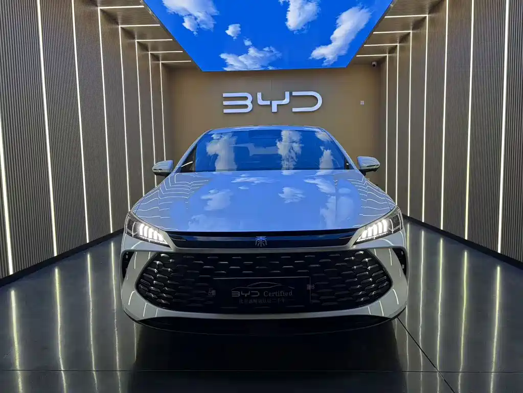 BYD Qin PLUS — фото 2