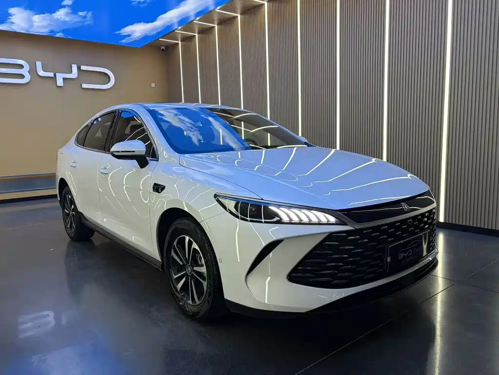BYD Qin PLUS — фото 3