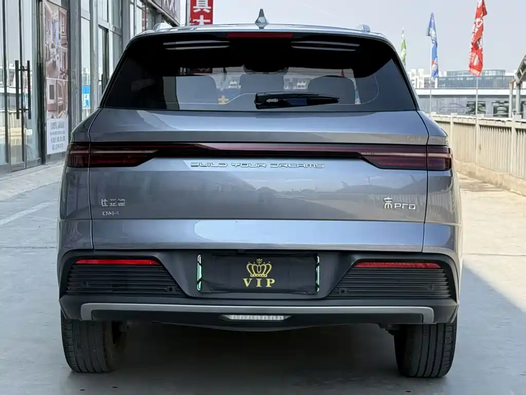 BYD Pro New Energy — фото 5