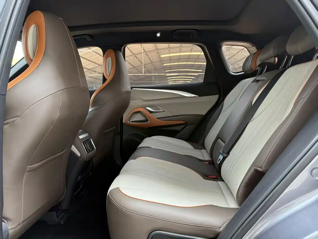 BYD Pro New Energy — фото 9