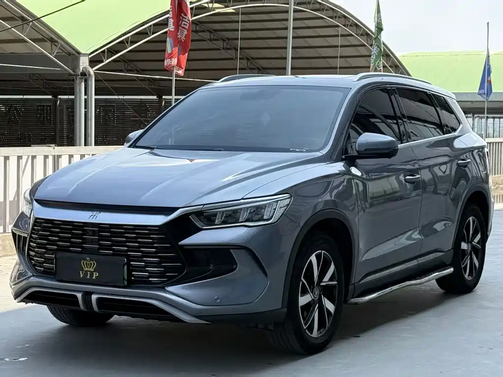 BYD Pro New Energy