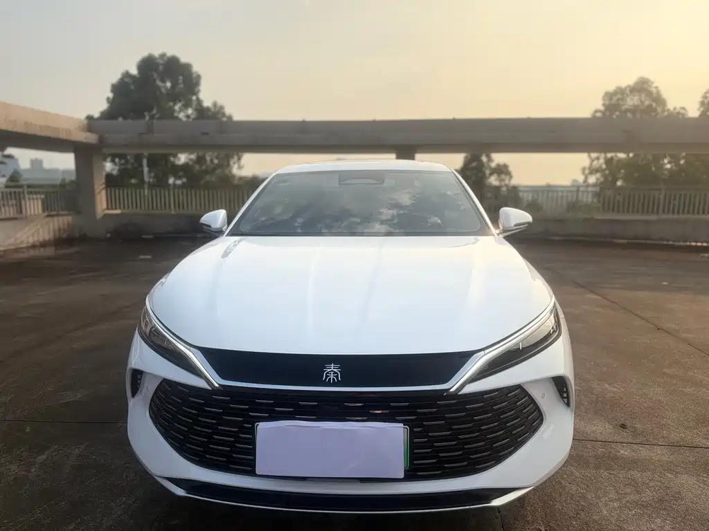 BYD Qin L — фото 2