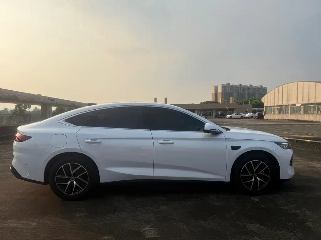BYD Qin L — фото 4