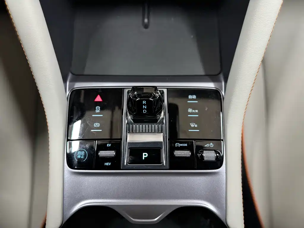 BYD PLUS New Energy — фото 13