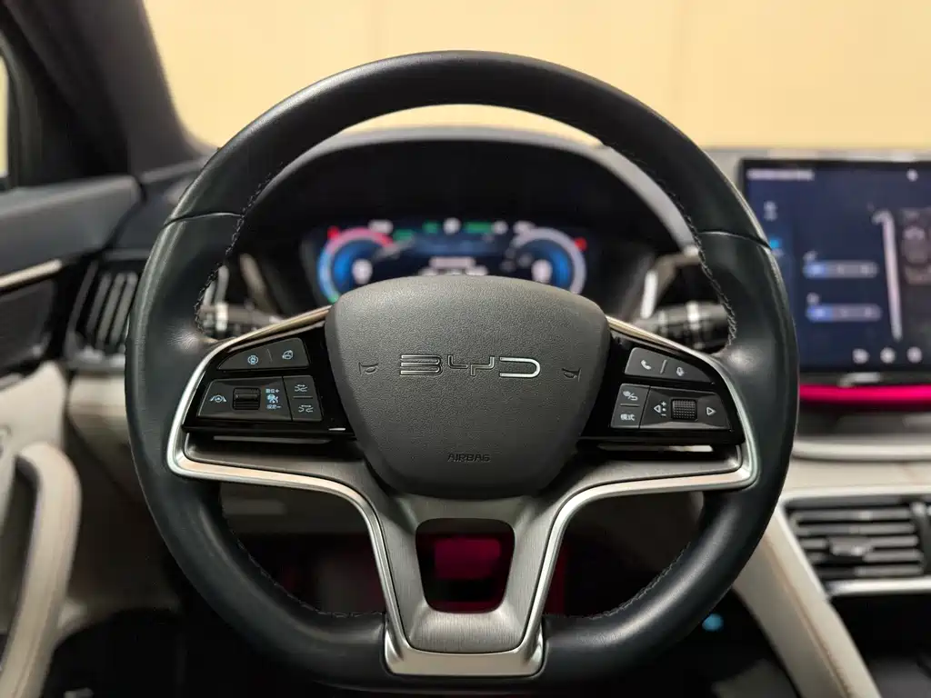 BYD PLUS New Energy — фото 14
