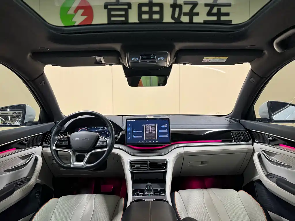 BYD PLUS New Energy — фото 15