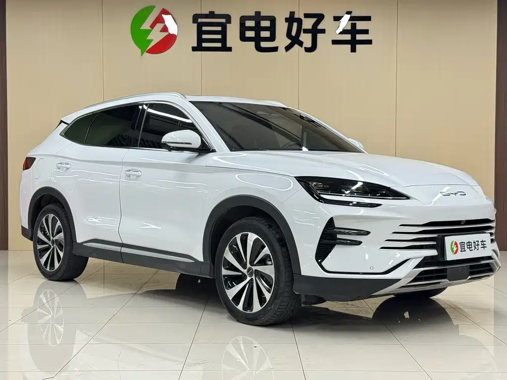 BYD PLUS New Energy — фото 3