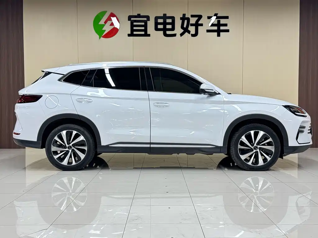 BYD PLUS New Energy — фото 4