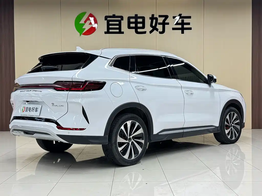 BYD PLUS New Energy — фото 5
