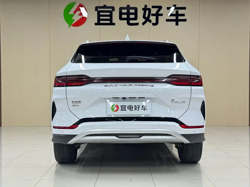 BYD PLUS New Energy — фото 6
