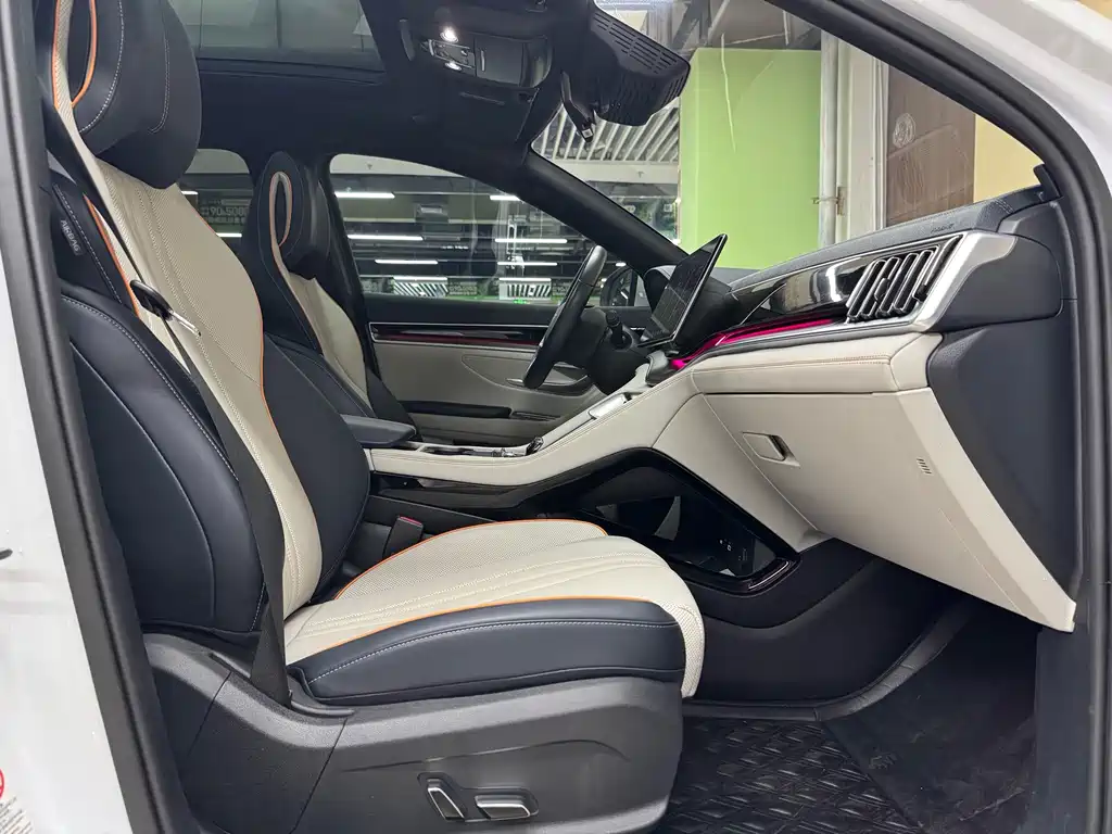 BYD PLUS New Energy — фото 10