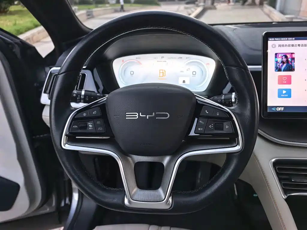 BYD PLUS New Energy — фото 13
