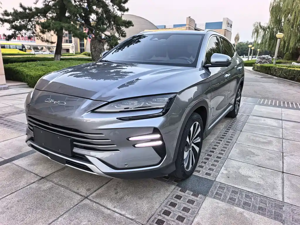 BYD PLUS New Energy — фото 3