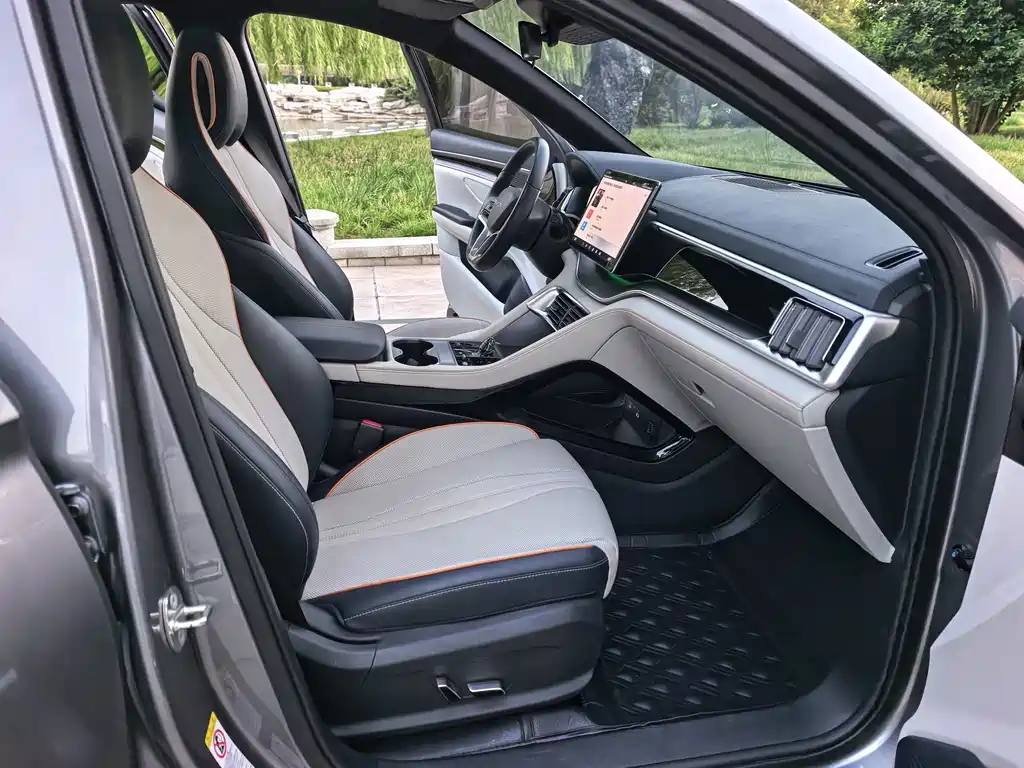 BYD PLUS New Energy — фото 10