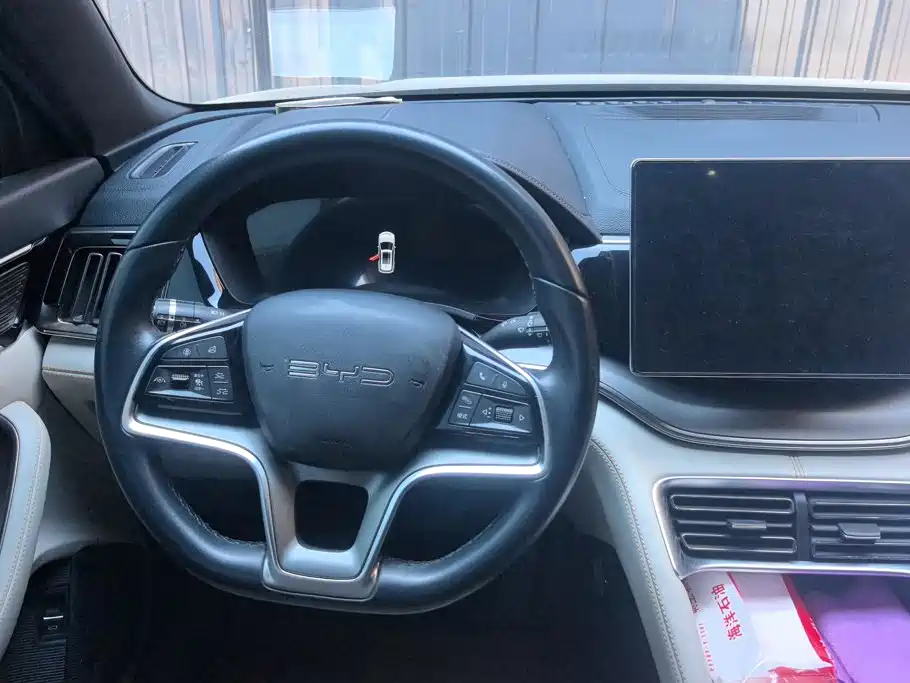 BYD PLUS New Energy — фото 15