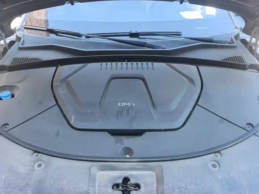 BYD PLUS New Energy — фото 10