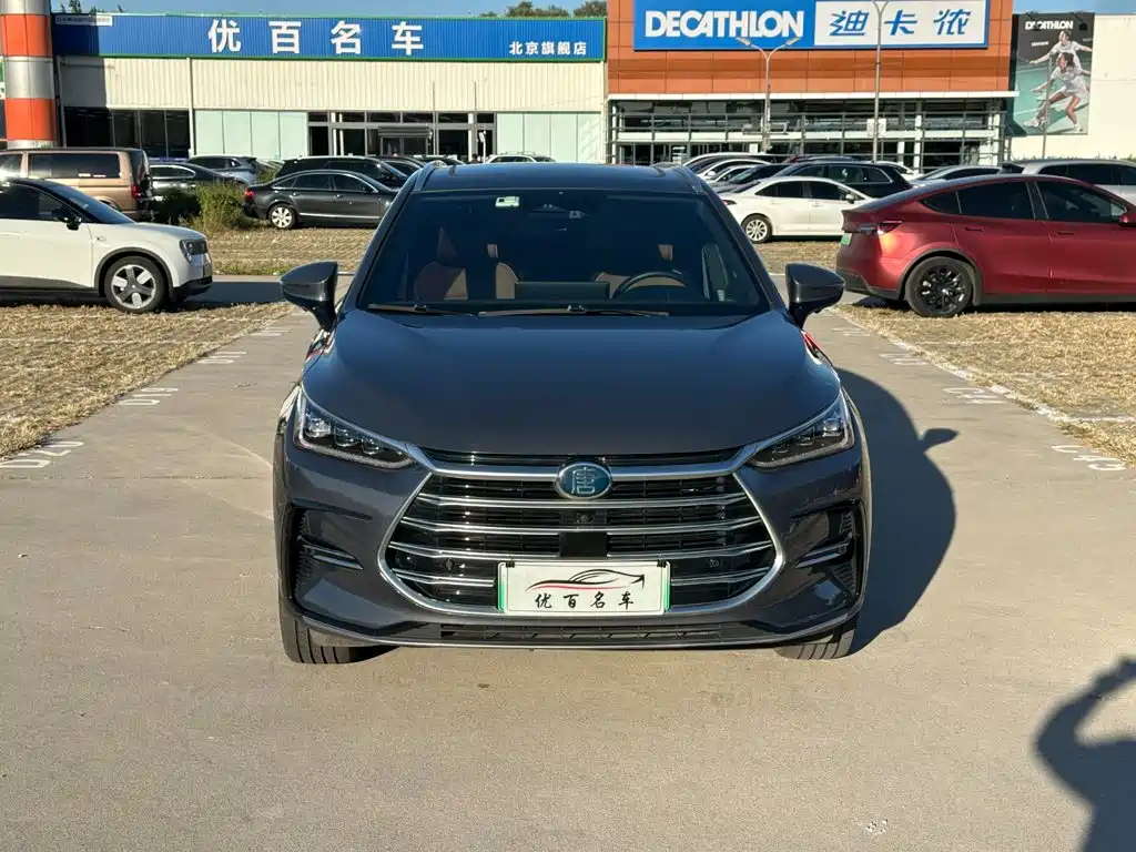 BYD Tang New Energy — фото 2
