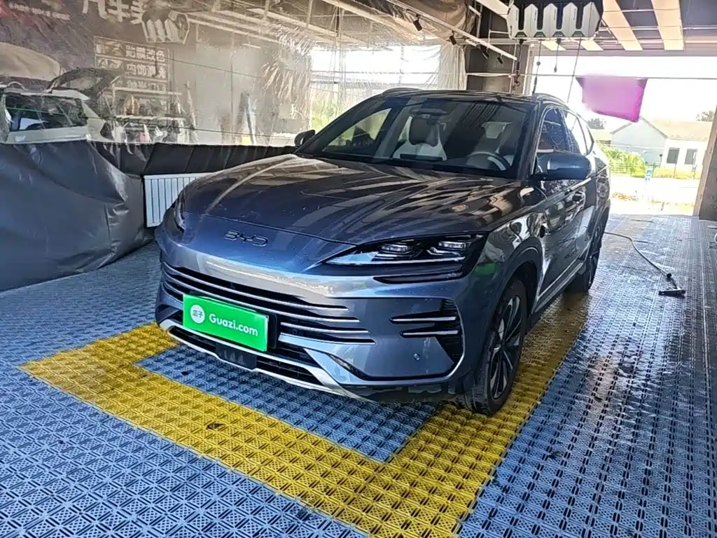 BYD PLUS New Energy — фото 2