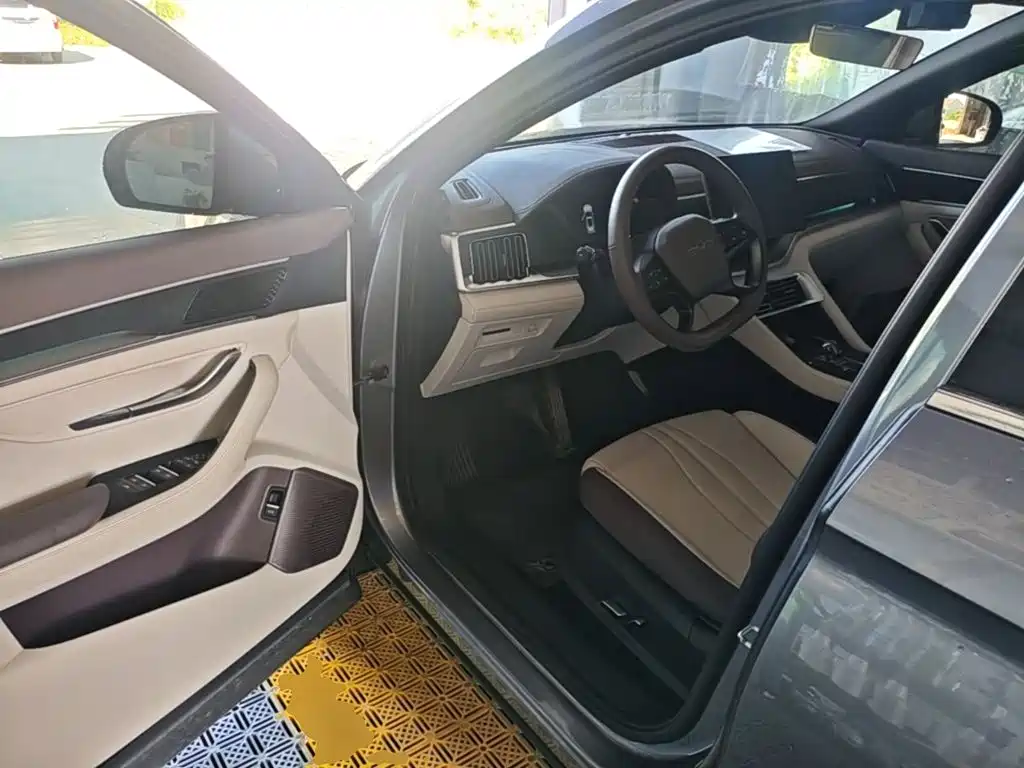 BYD PLUS New Energy — фото 13