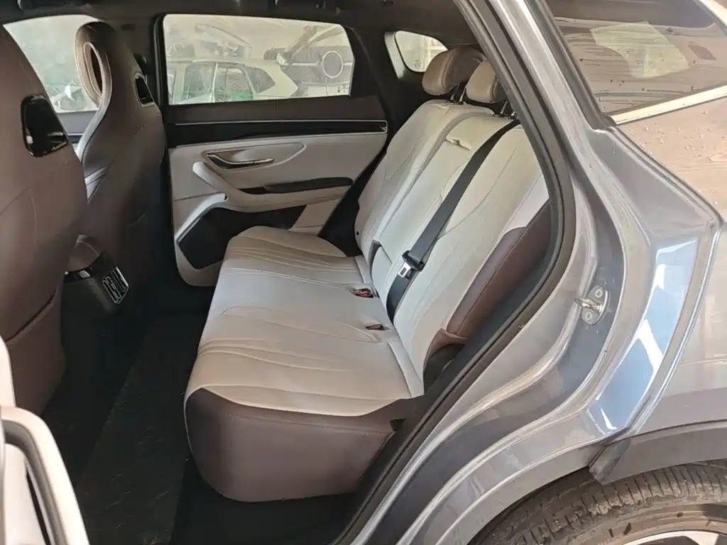 BYD PLUS New Energy — фото 14