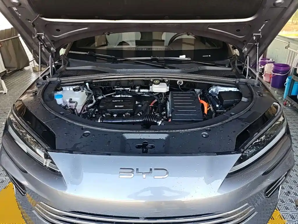 BYD PLUS New Energy — фото 17