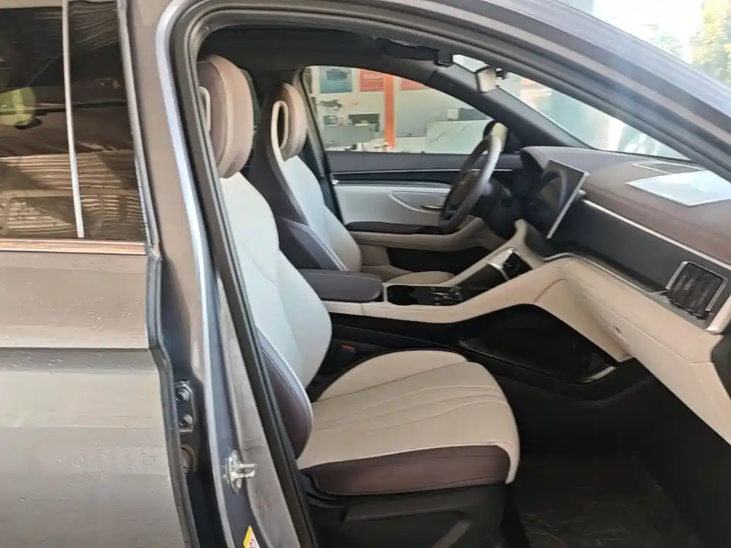 BYD PLUS New Energy — фото 20