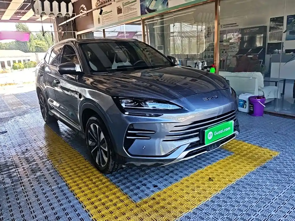 BYD PLUS New Energy — фото 23