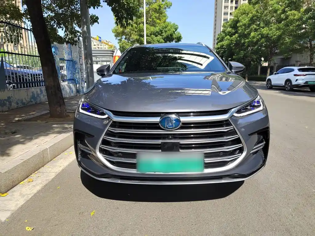 BYD Tang New Energy — фото 11